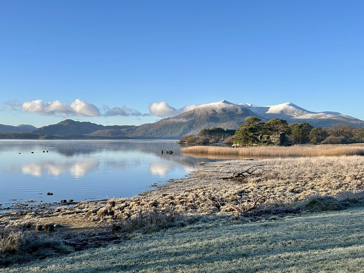 Lake Hotel tweet media