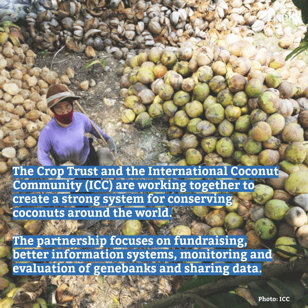 The Crop Trust tweet media