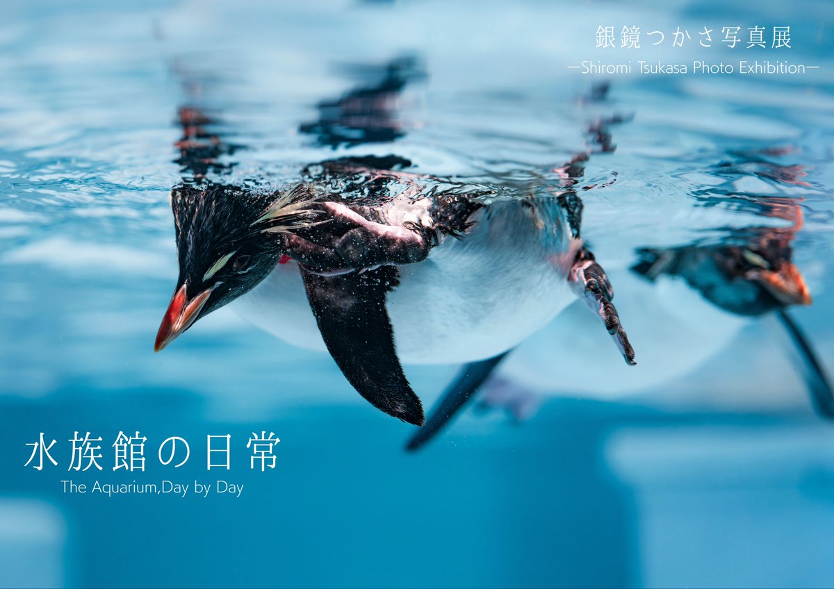 写真展のお知らせ🙌】 1月23日(金)より、東京 表参道にある富士