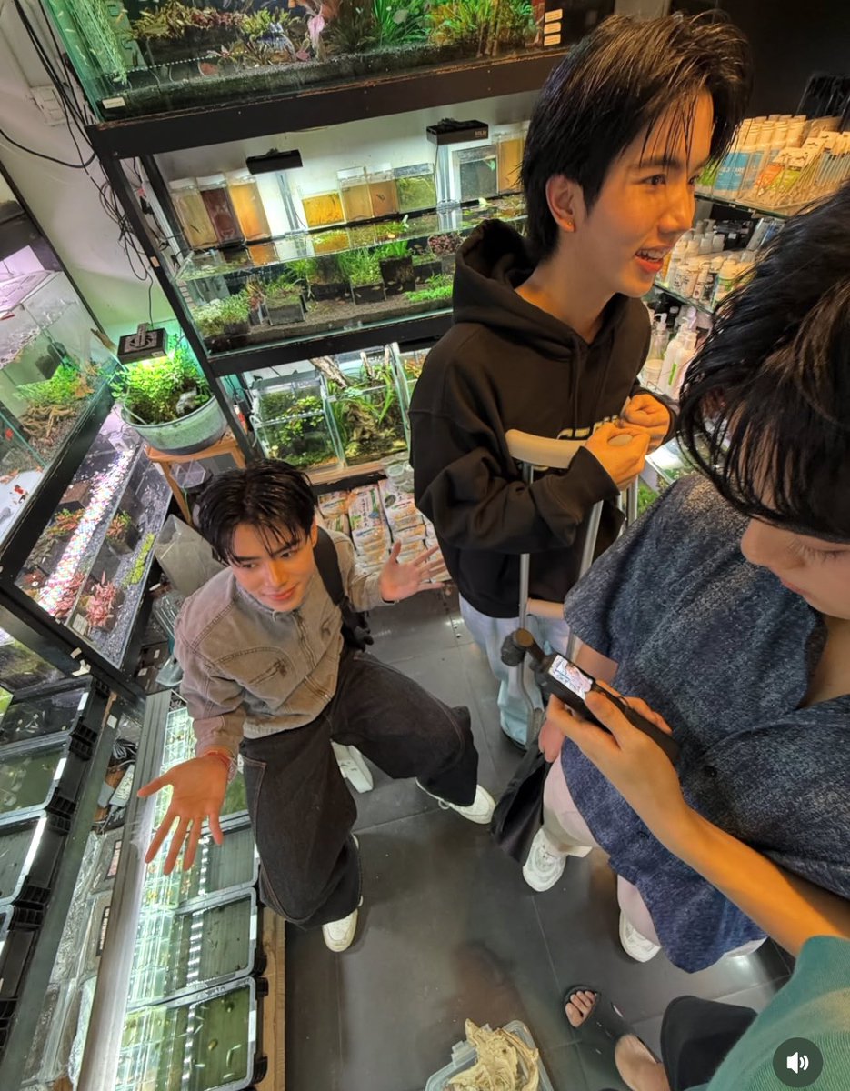 himaltese's tweet image. รุ้เลยร้านนนิ้ใครเปนคนชวนเข้าร้านมาาา 555555555555555555555555555 

#CLO_VER #barcodetin #keenkeno
#aliazhl_ #20aungpao  ♡̴