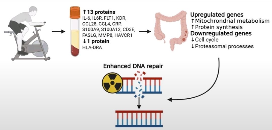 Sam Orange tweet media