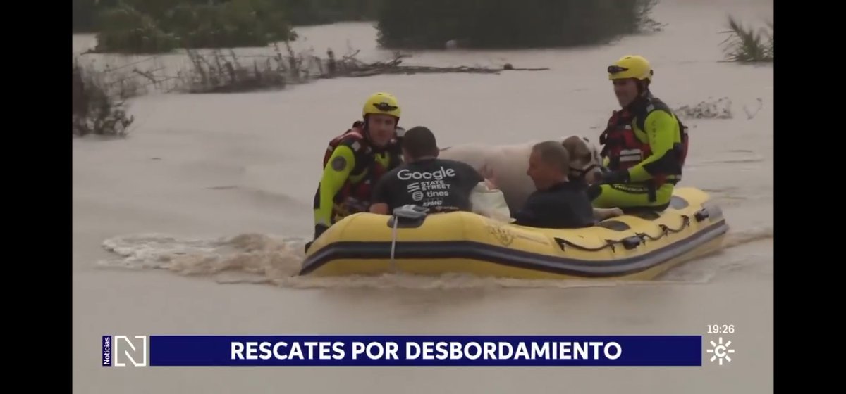 Daniel W. tweet media