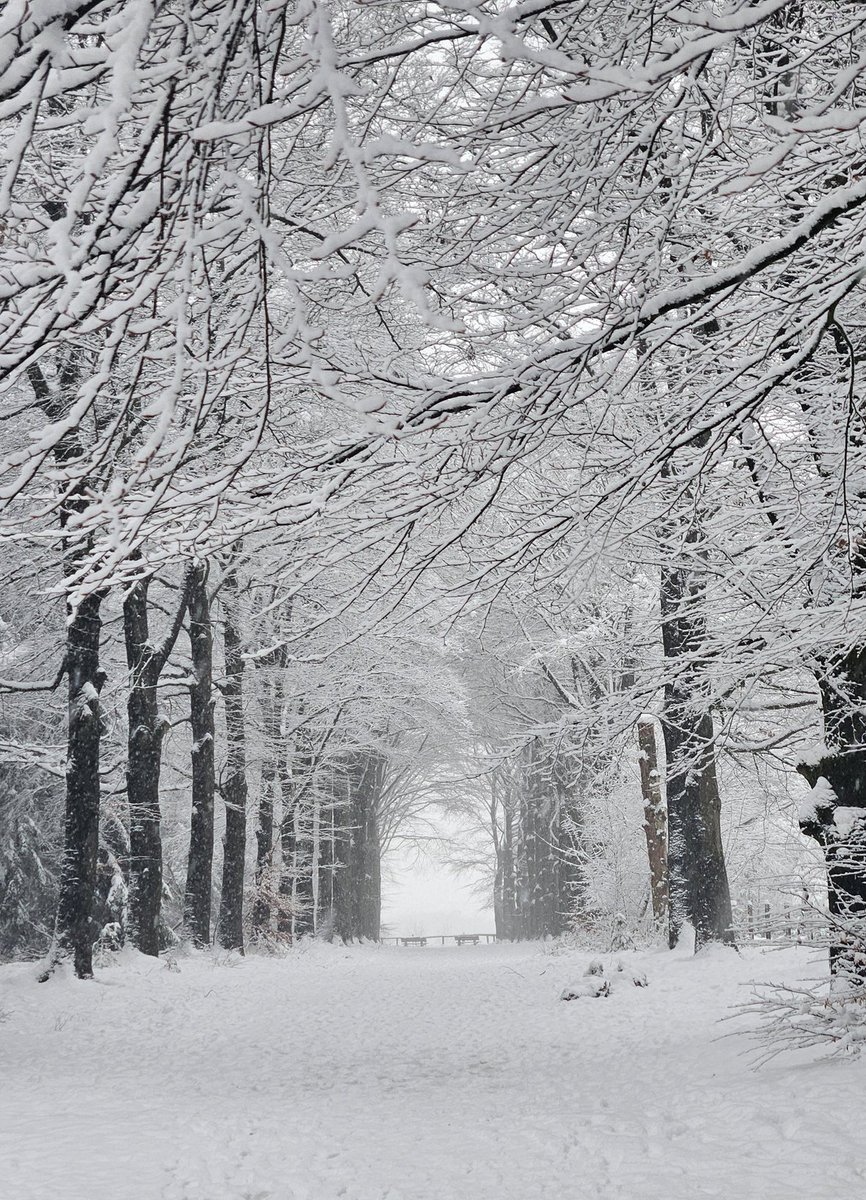 Heerlijke wandeling! #sneeuw