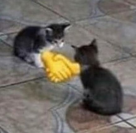 Ray 🌑 tweet media