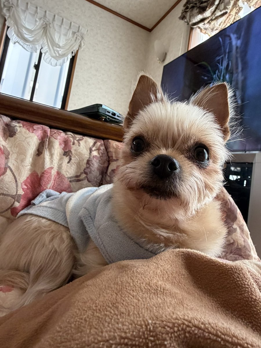 ぱんちゃん 璃奈😈⚡️危険モード中 (@panchanrina) / Posts / X