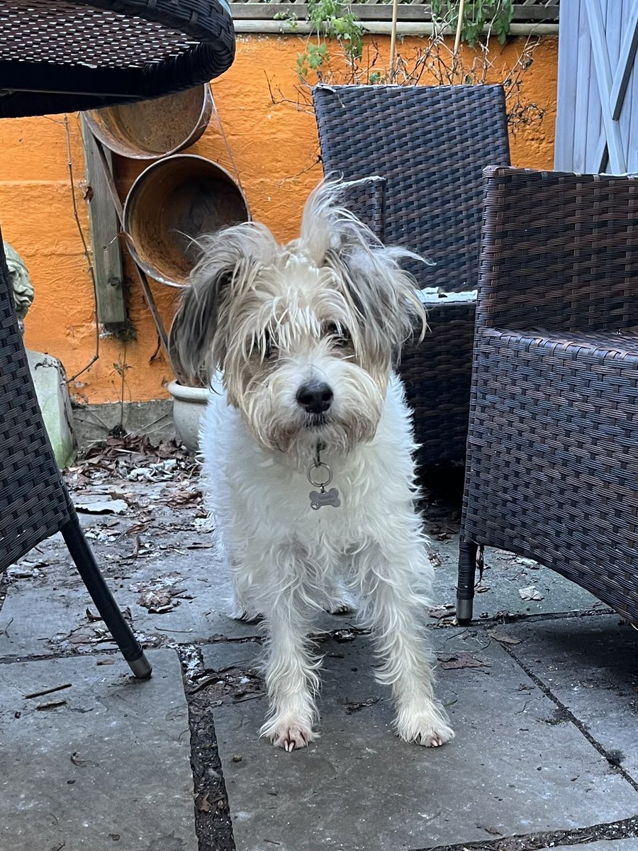 James Dreyfus tweet media