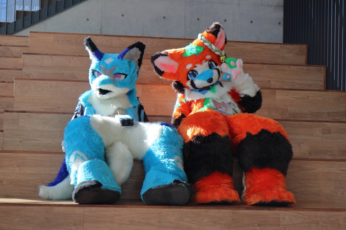 りばーす 📷 tweet media