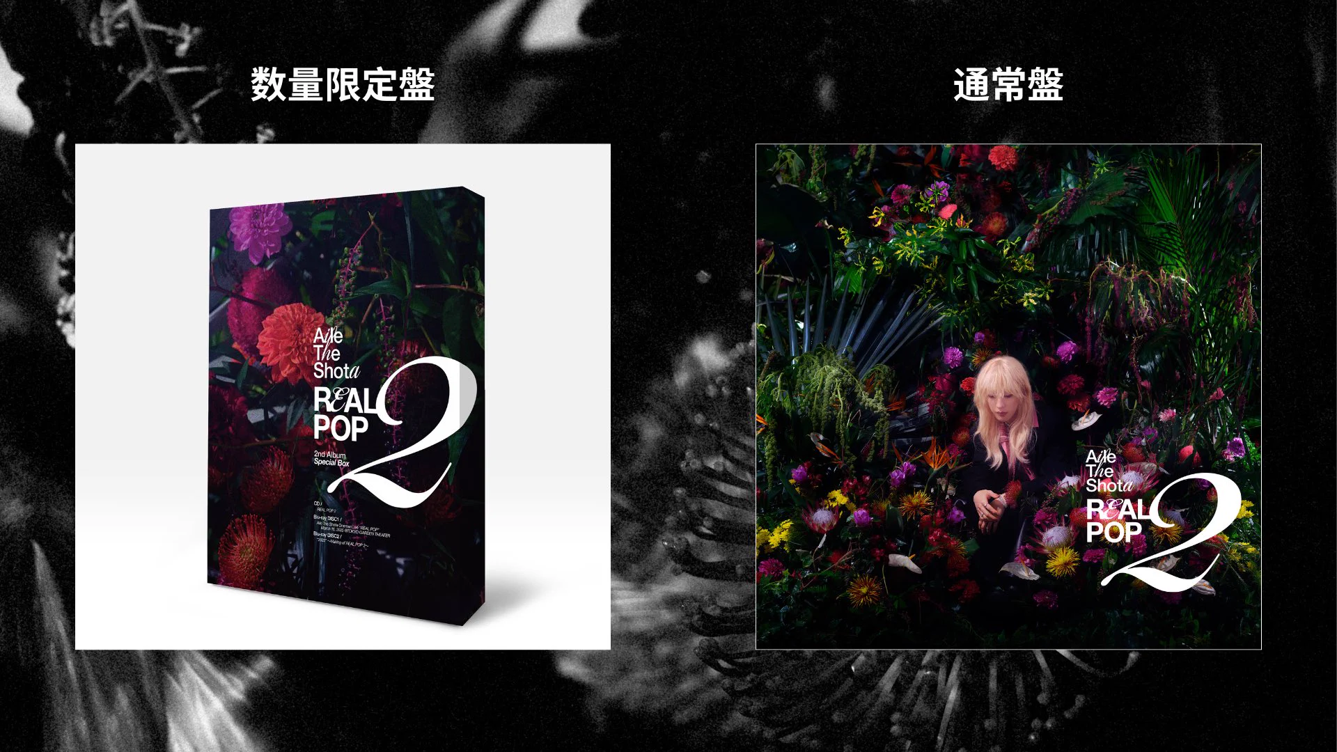 アイルザショウタ/ 2nd 『REAL POP 2』数量限定盤 新品 Aile The Shota on X: 