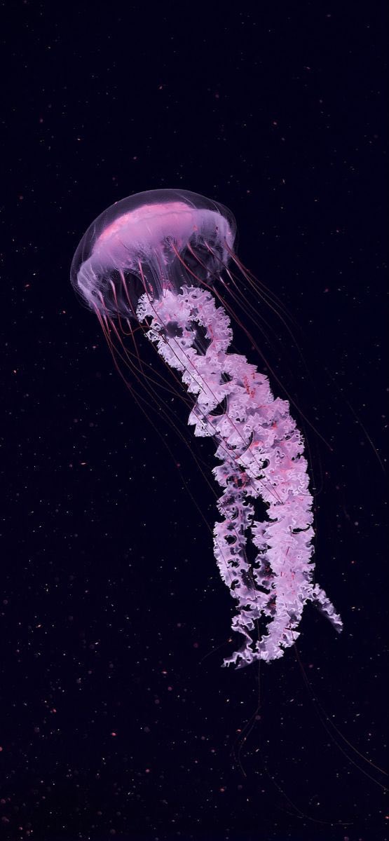 22hrr22min's tweet image. 