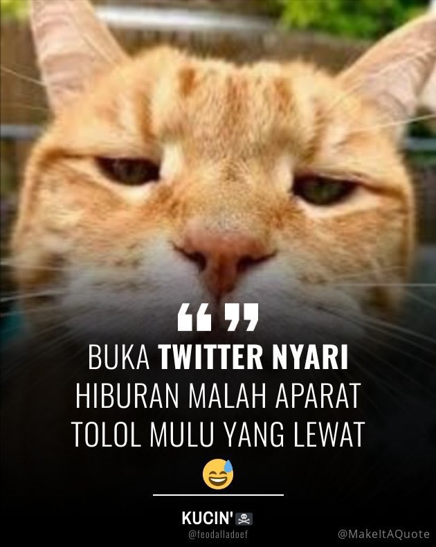 <a href="/andreaonchain/">Andrea</a> <a href="/tempodotco/">tempo.co</a> yaa krn...