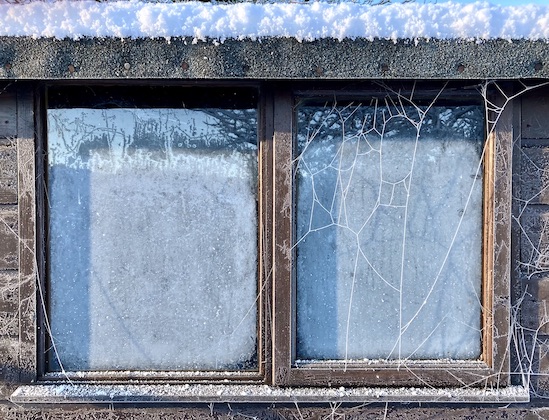 Ian Weightman tweet media