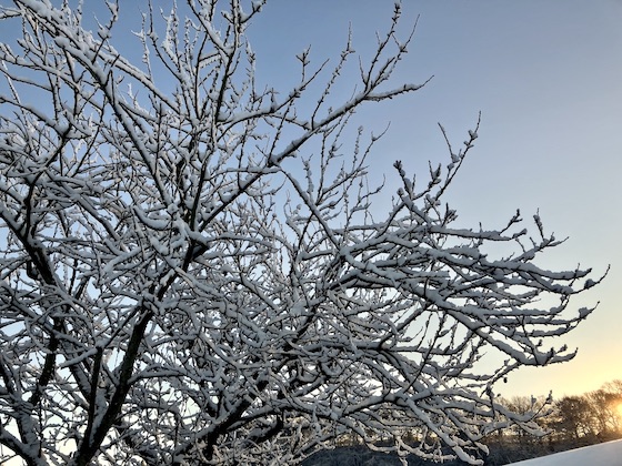 Ian Weightman tweet media