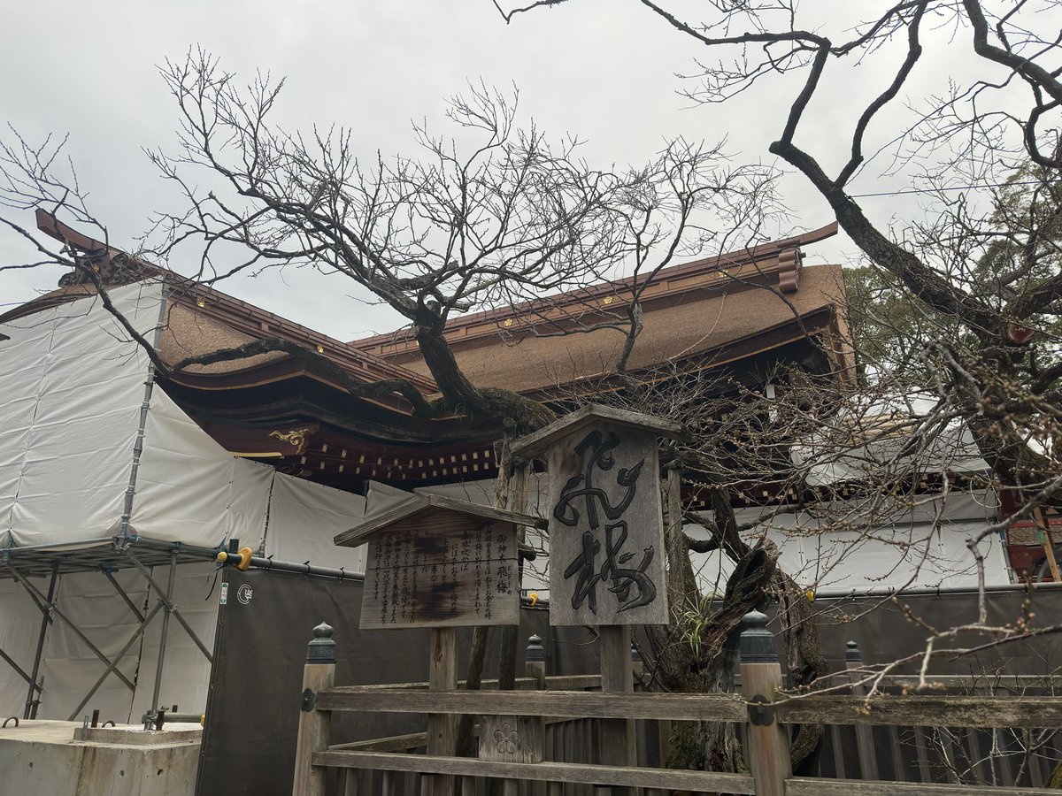 初詣で太宰府行ってきた🥳早朝だったので比較的すんなりお参りでけた