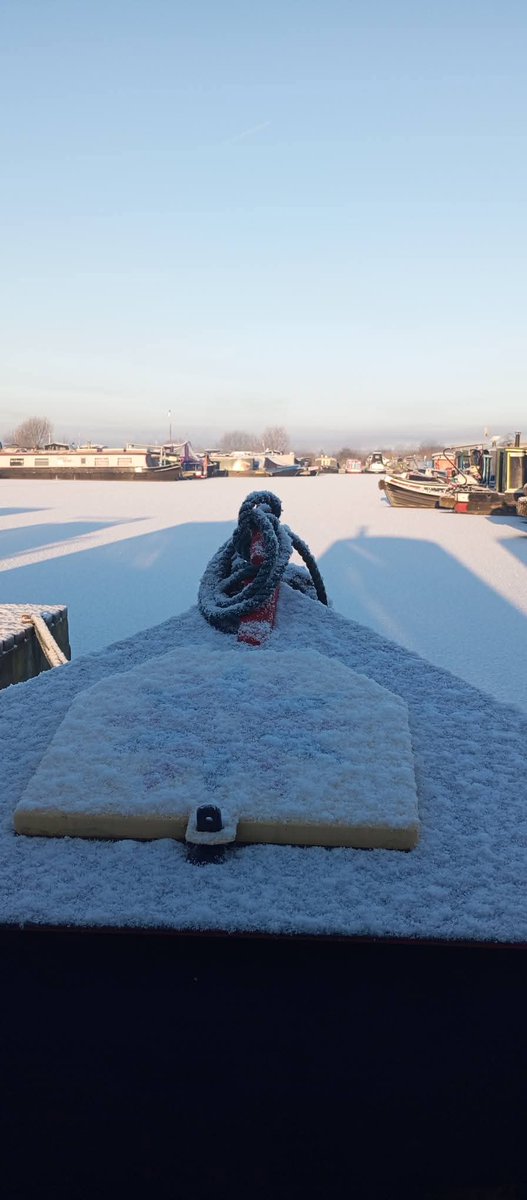 WayneDjc Taw tweet media