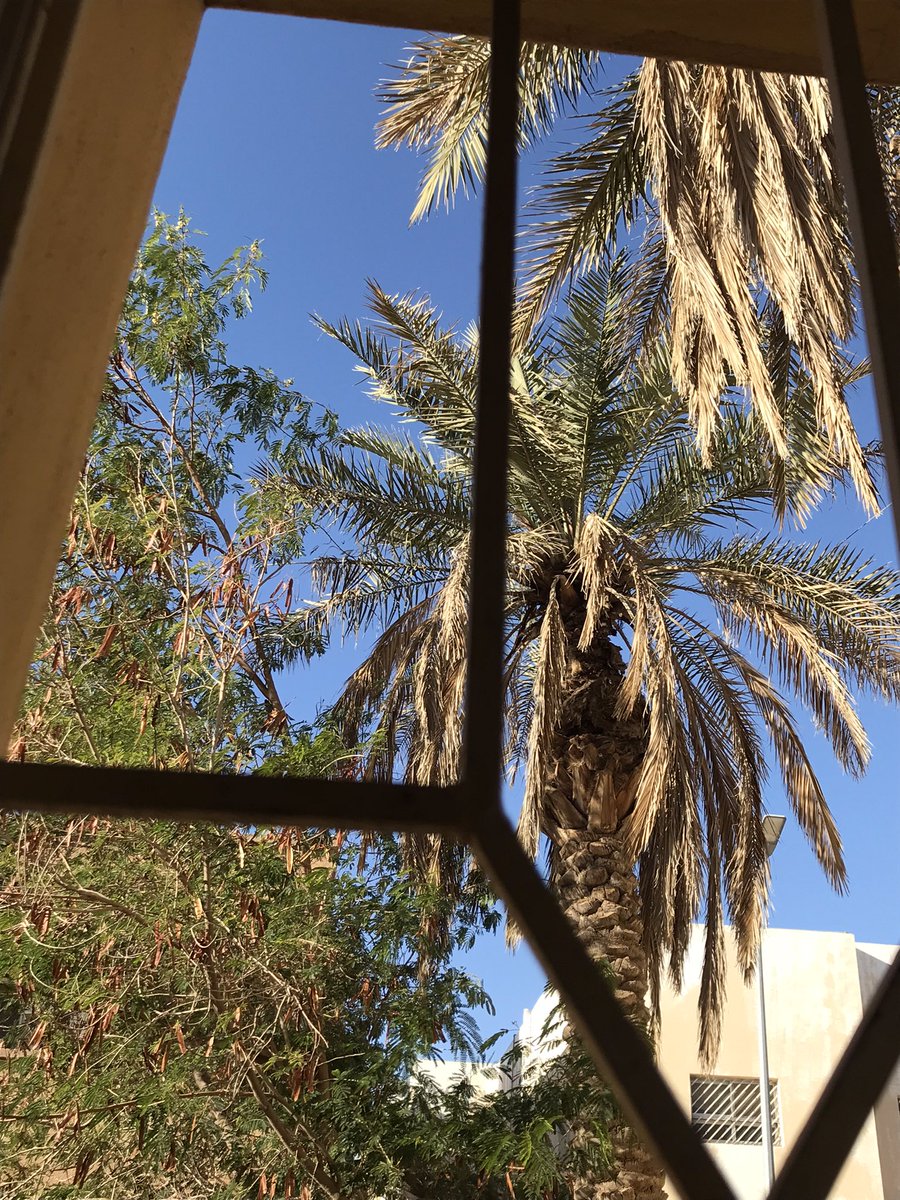 F2023i's tweet image. أمسينا وأمسى الملك لله،
أذكار المساء ، خير ما تبدأ فيه ليلتك..
 
لا تتركها، فهي من هدي النبي ﷺ، وزاد يومك، وسلاحك الخفي في وجه التقلبات.