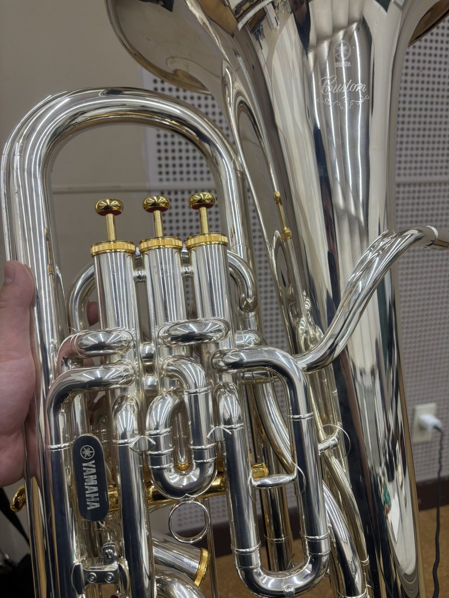 年明けというより.、今日からの相方は843。
842とのキャラクターの違いを改めて感じる。(842も、もちろん素晴らしい楽器。)
今年も、良い音出すことを目指して頑張ります。