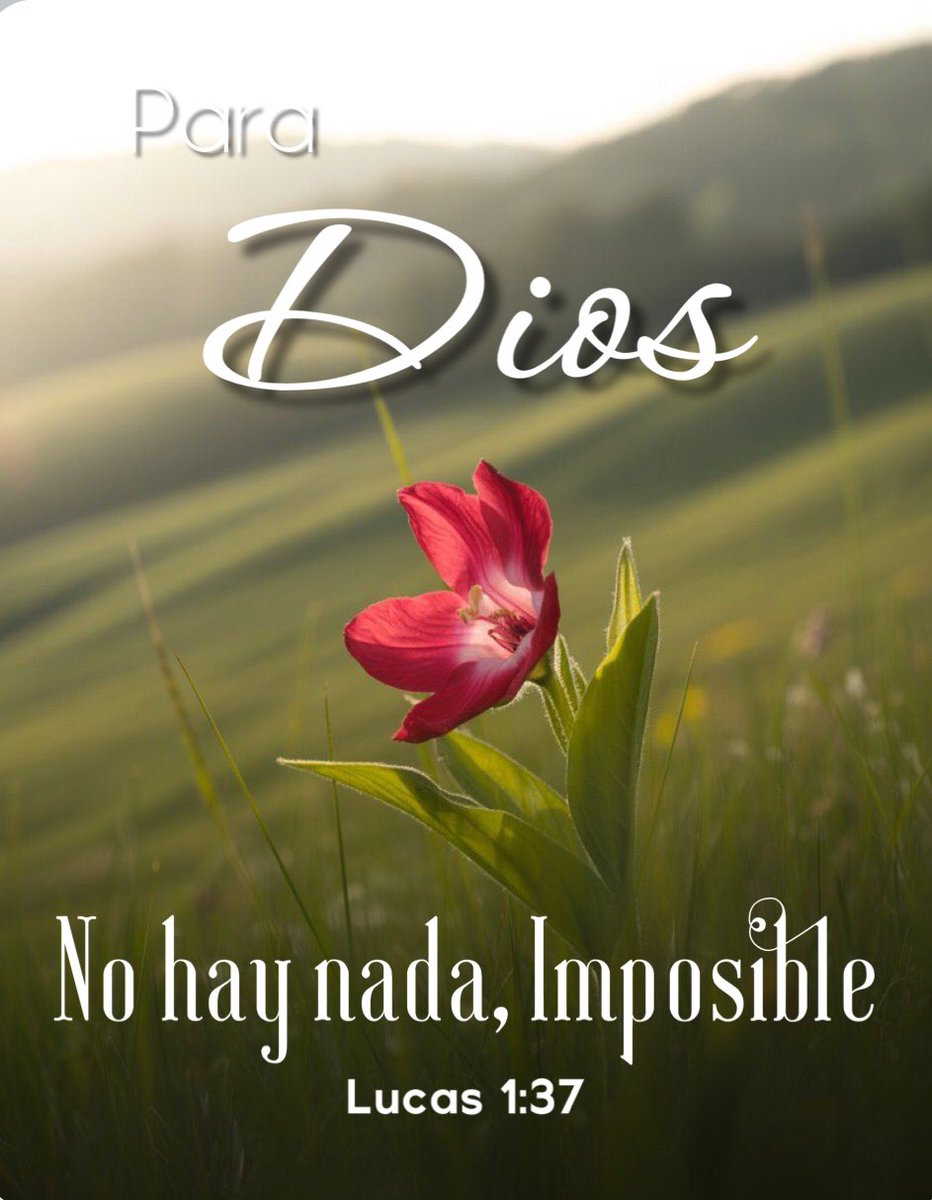 confiamos_en tweet picture