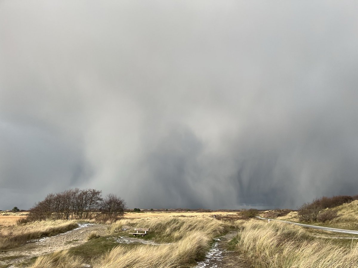 Sneeuw #Terschelling