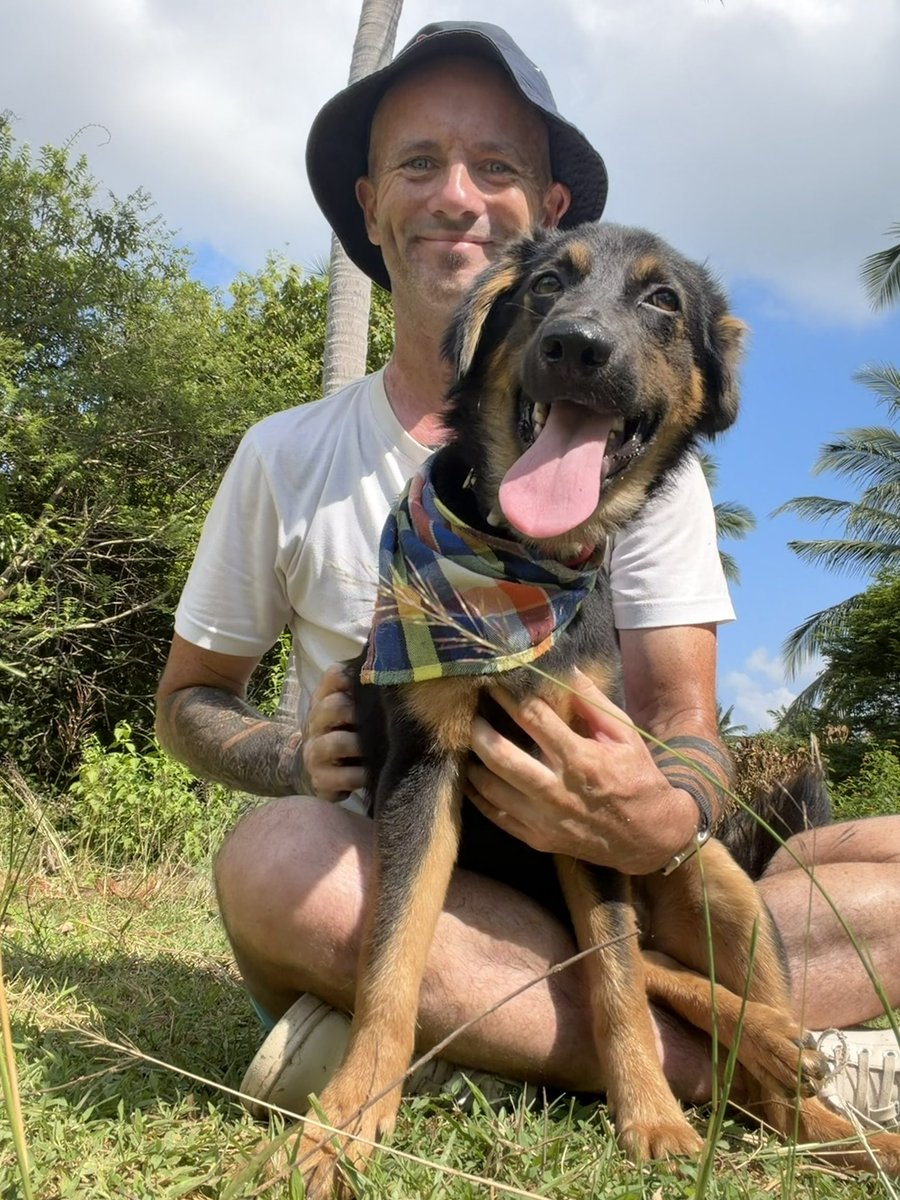 I was able to tell Stormzy today that his new home was agreed! 

A lovely English couple in Thailand will be taking him. They were one of over 200 people who applied and are perfect. 

They come to collect Stormzy on Friday for his happy ever after ❤️ (7/7)