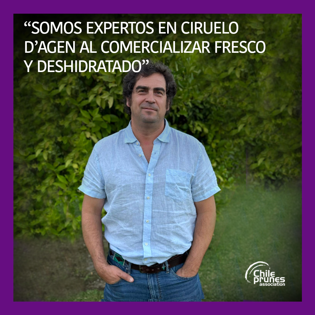 Para ver la noticia entra al link: chileprunes.cl/2026/01/02/som…. #prunes #chileprunes #kaiken