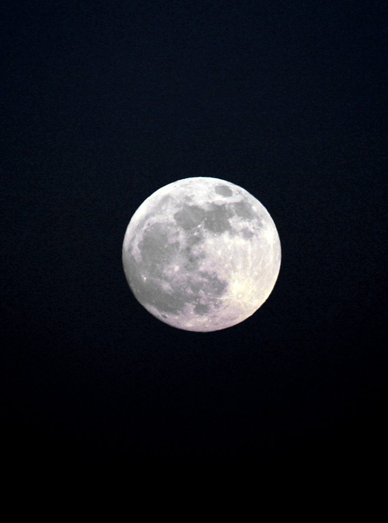 GenAlphaVerse's tweet photo. Celestial Body: Moon
Our moon orbits the Earth and forms from debris after the young planet collided with another celestial object. It lights up our night sky and controls the ocean's tides.

#genalphaverse #celltosingularity #moonshine #moonmagic #moon #moonknight https://t.co/7CCogTUMZG