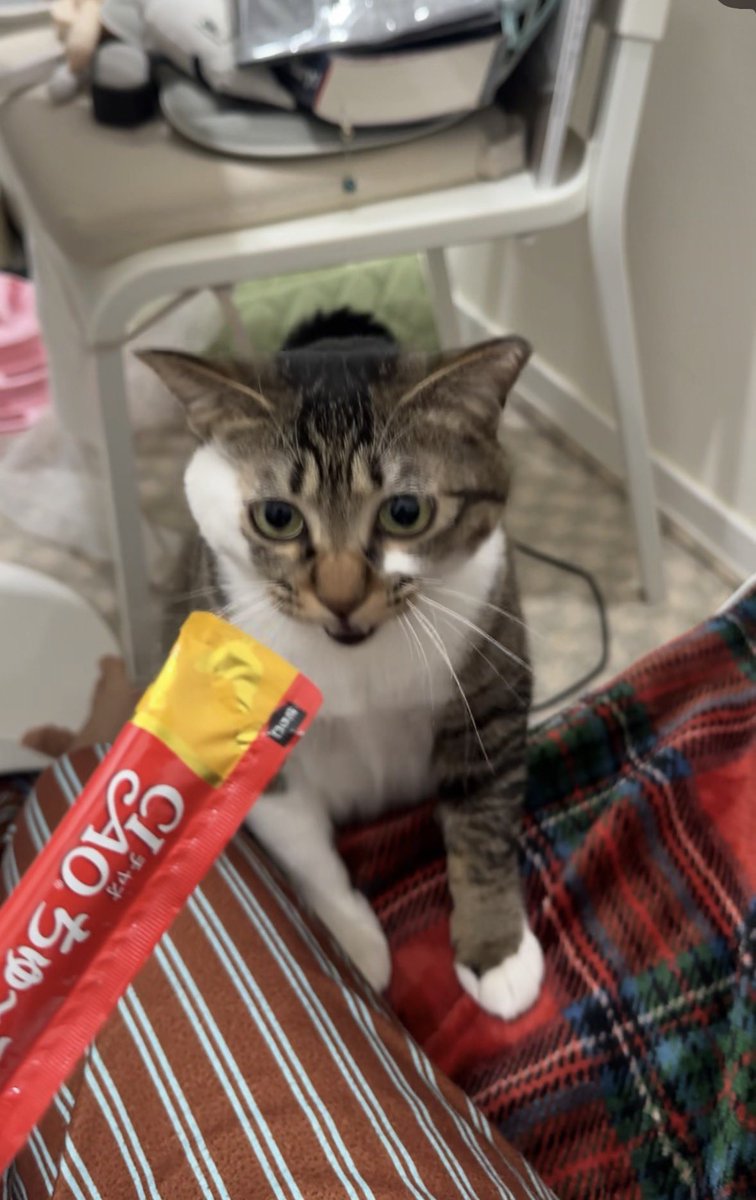 쮸르닷!!!! 😋😋😋