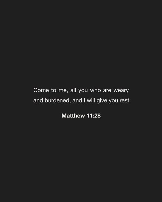 Bible 365 tweet media