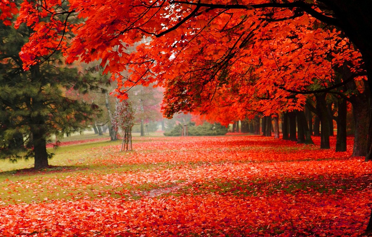 El color siempre está, pero la espectacularidad es la importancia que le des tu. 
#Buenosdiasmundo X.
#FelizLunes