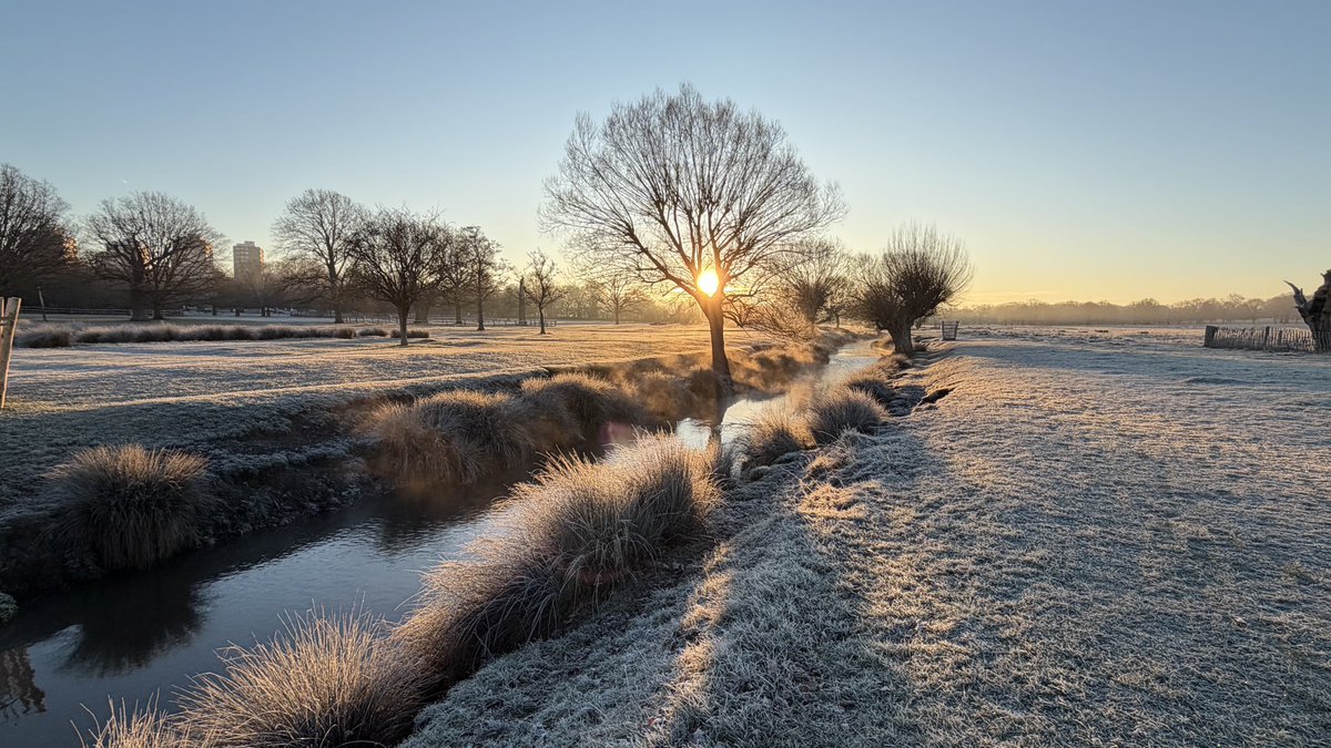 Amanda Boardman tweet media