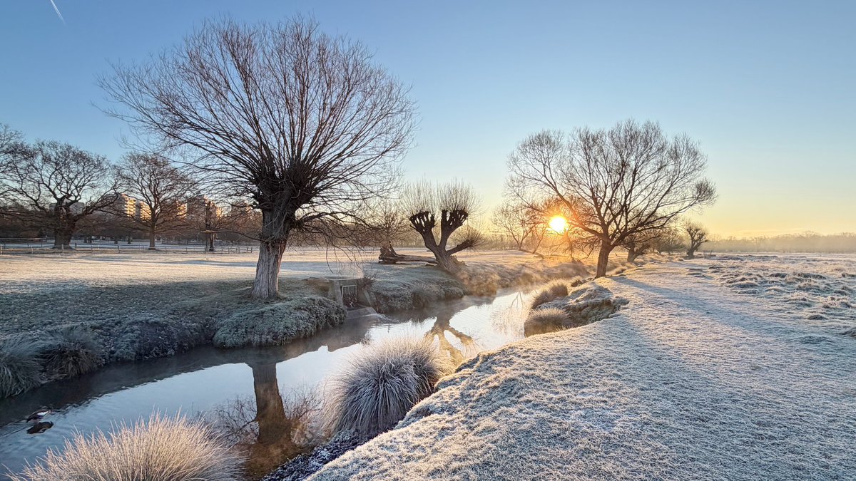 Amanda Boardman tweet media