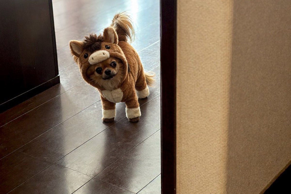 <a href="/aikentakuone/">たくわん先生</a> たくわん先生🐶ゆうなさん♡
こんばんわんこです
遅れての参加です💨小梅も一緒です💕