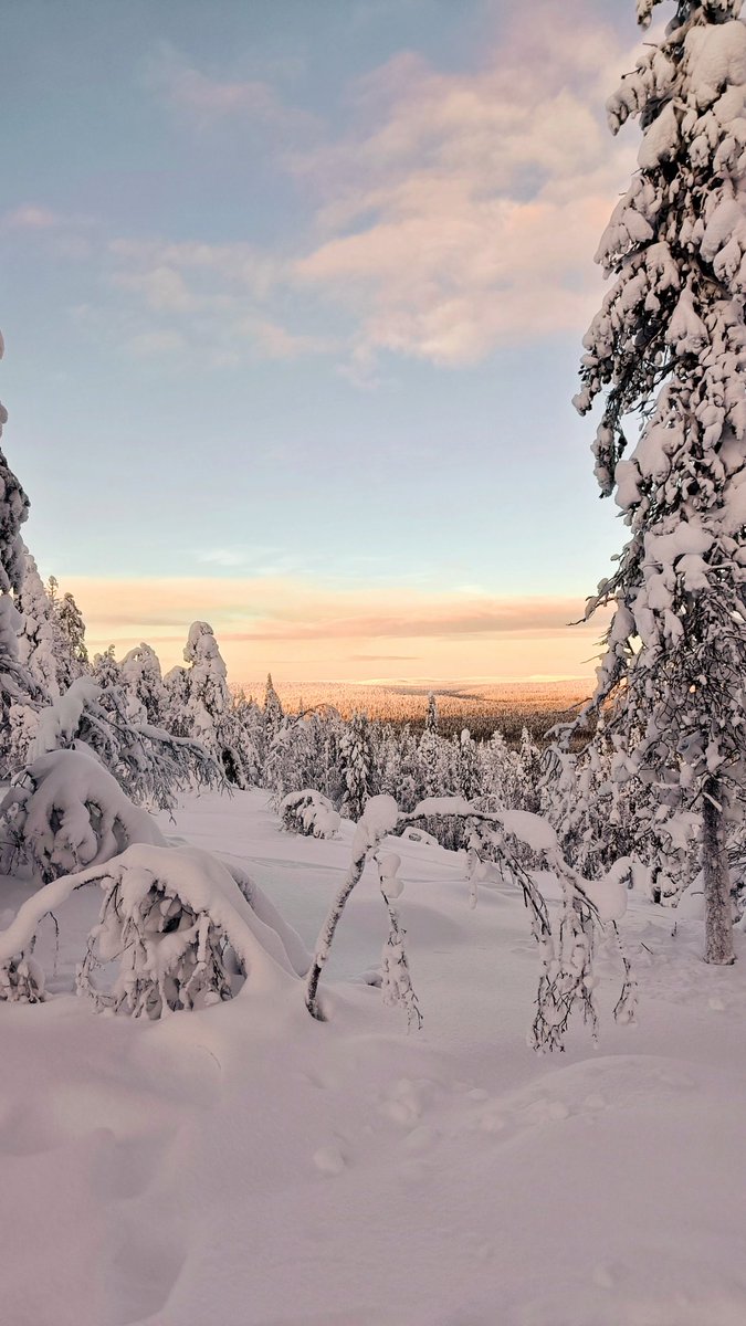 Viikon voi aina alottaa kiipeemällä sellasee ylämäkee missä ei törmää turisteihi ja samalla voi huutaa sielun tyhjäks tuntureille 🤍