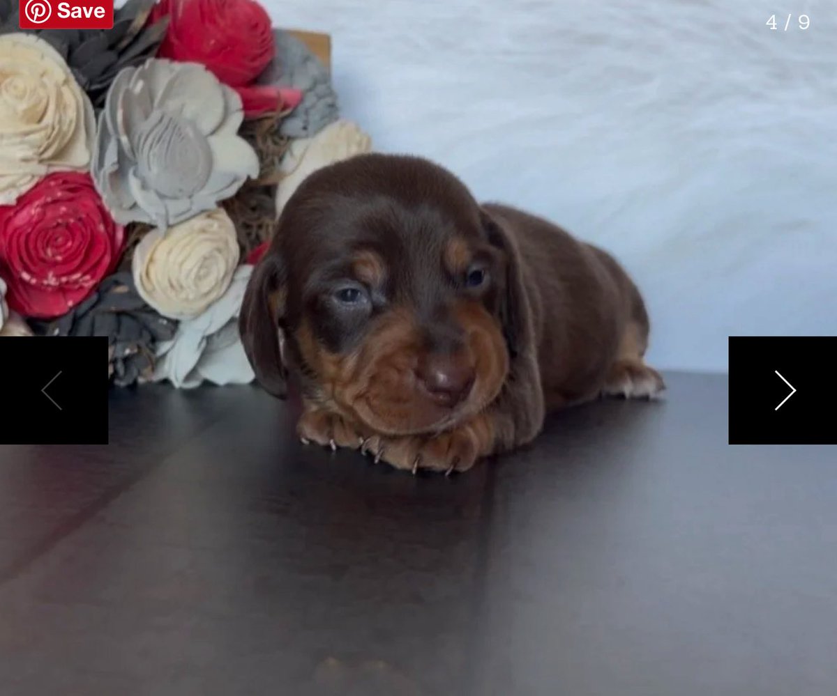 ACTIONMAN tweet media