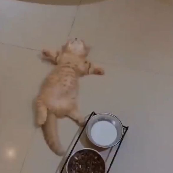 😭😭😭 #ppkritt