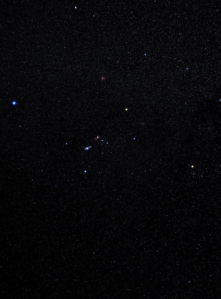 Orion and Sirius ✨