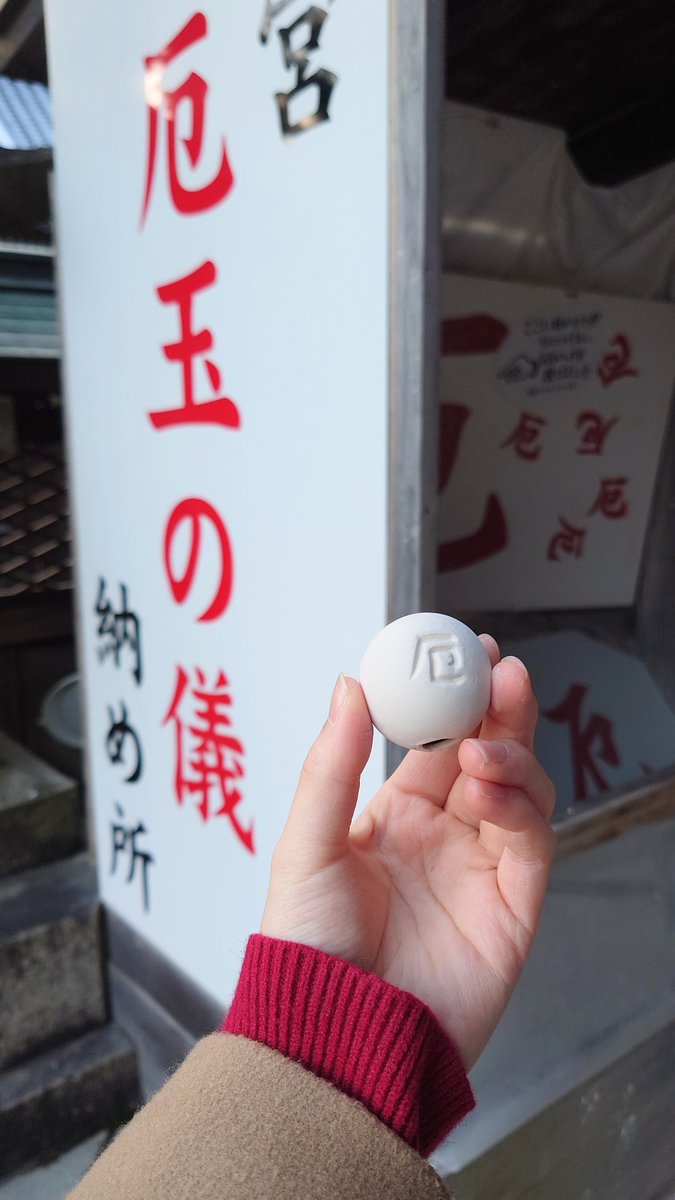 ☆ まめこ ☆ モッチー様専用 もっちー様専用 ☆ もっちー さま 専用 ☆ もっちー