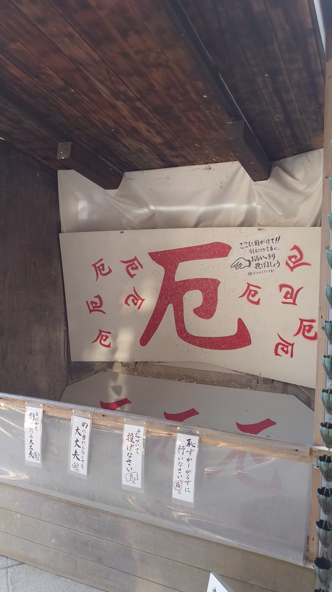 なんだこれは！！！？？？？？