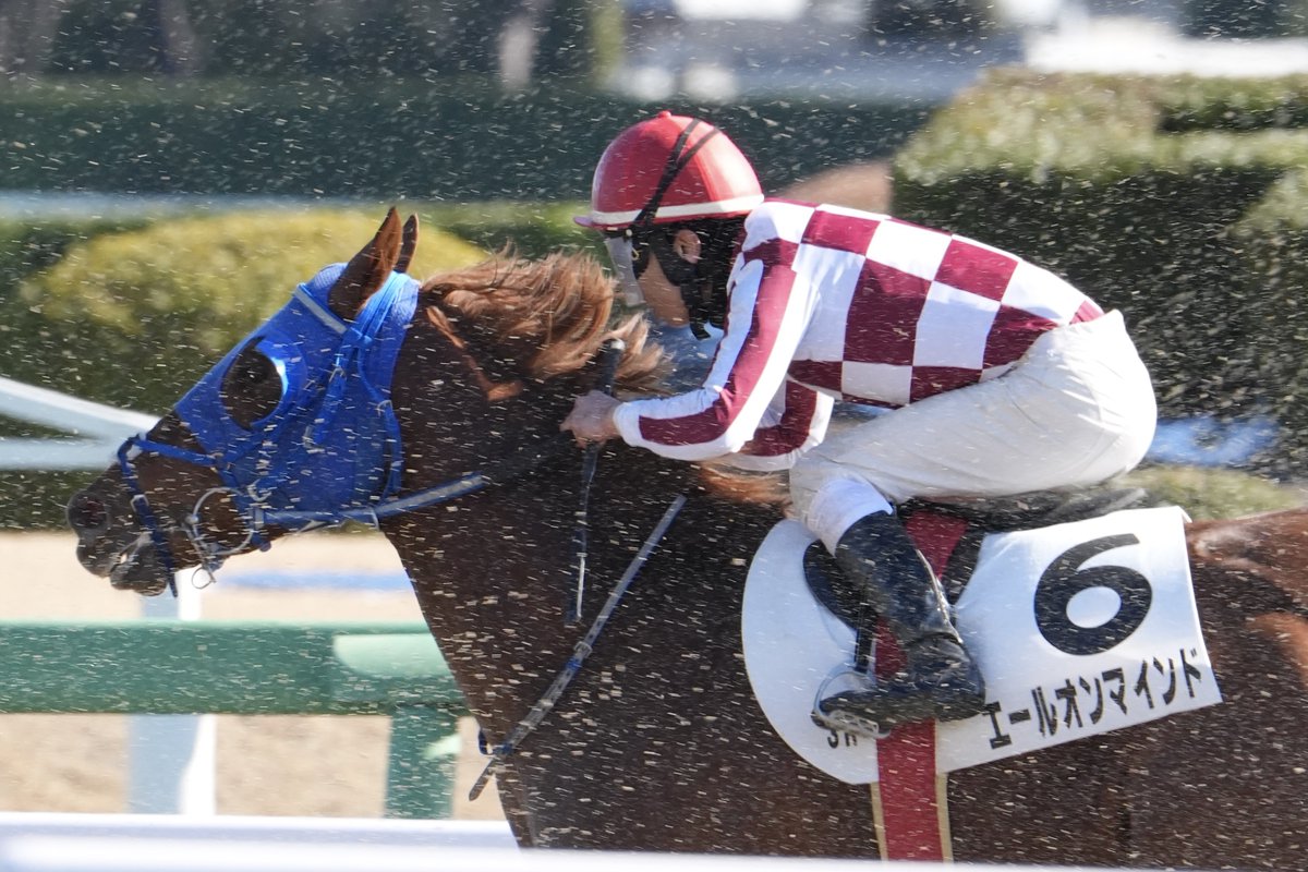 2026/01/04 中山3R 3歳新馬戦 エールオンマインド & 西村太一J