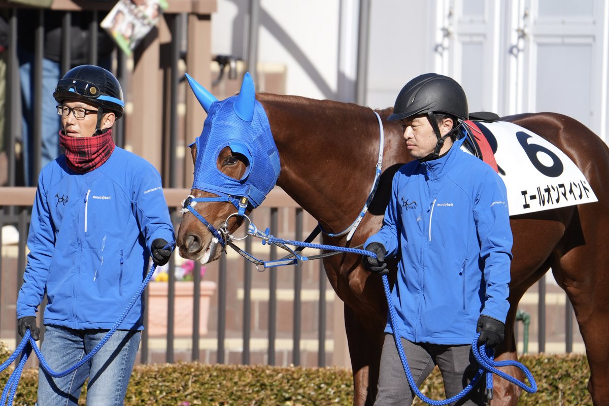 2026/01/04 中山3R 3歳新馬戦 エールオンマインド & 西村太一J