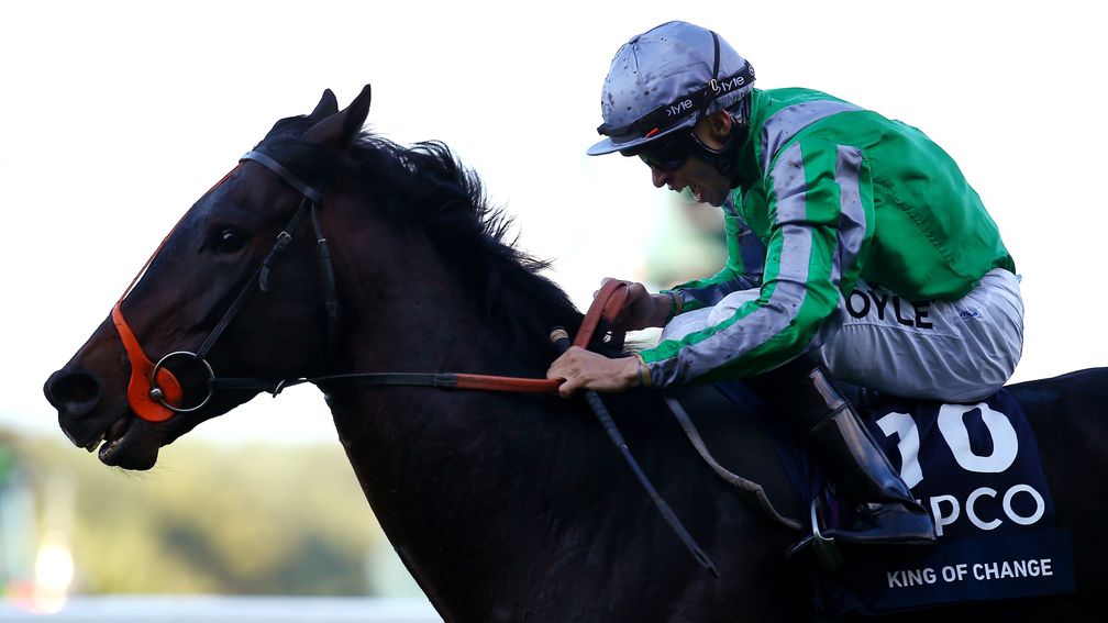 Racing Post Bloodstock tweet media
