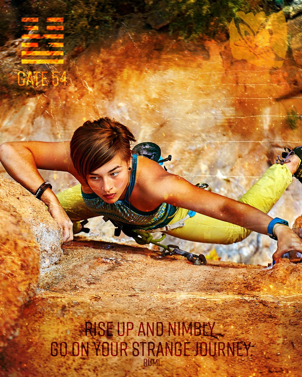 Feeling the pull of your evolutionary journey? - mailchi.mp/bc7626a36041/h…