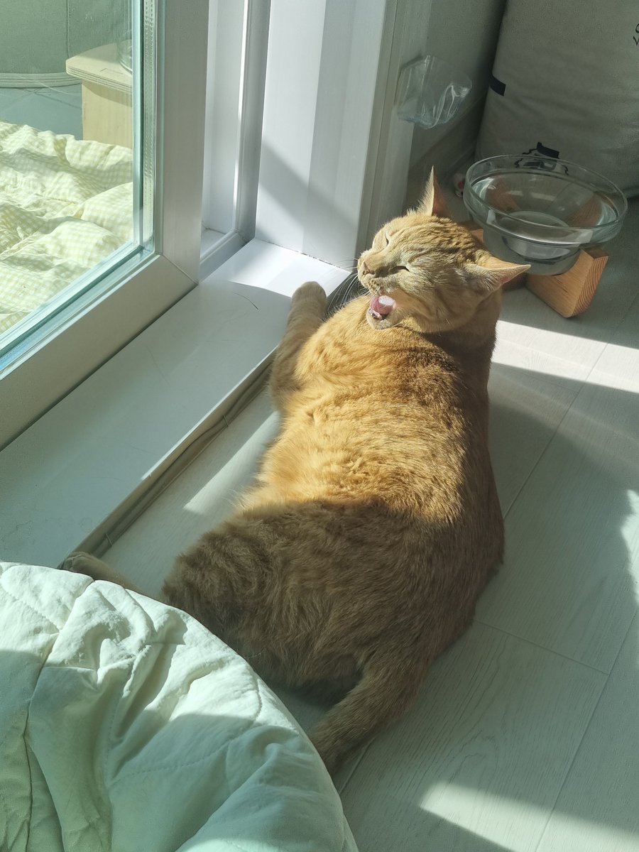 놀고 졸고 자고