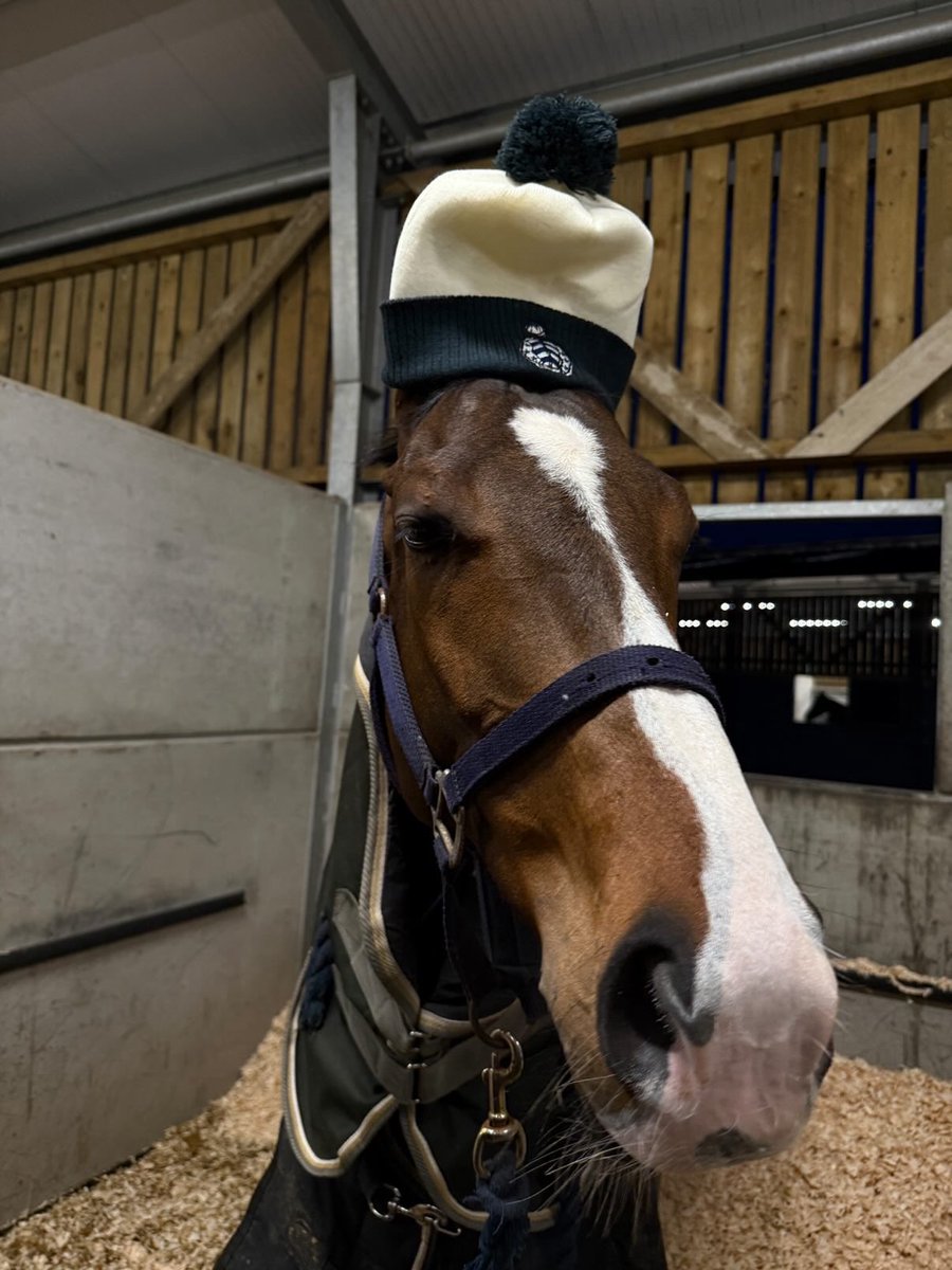 Wondering Why (Wayne) wrapping up warm today! ❤️🐎