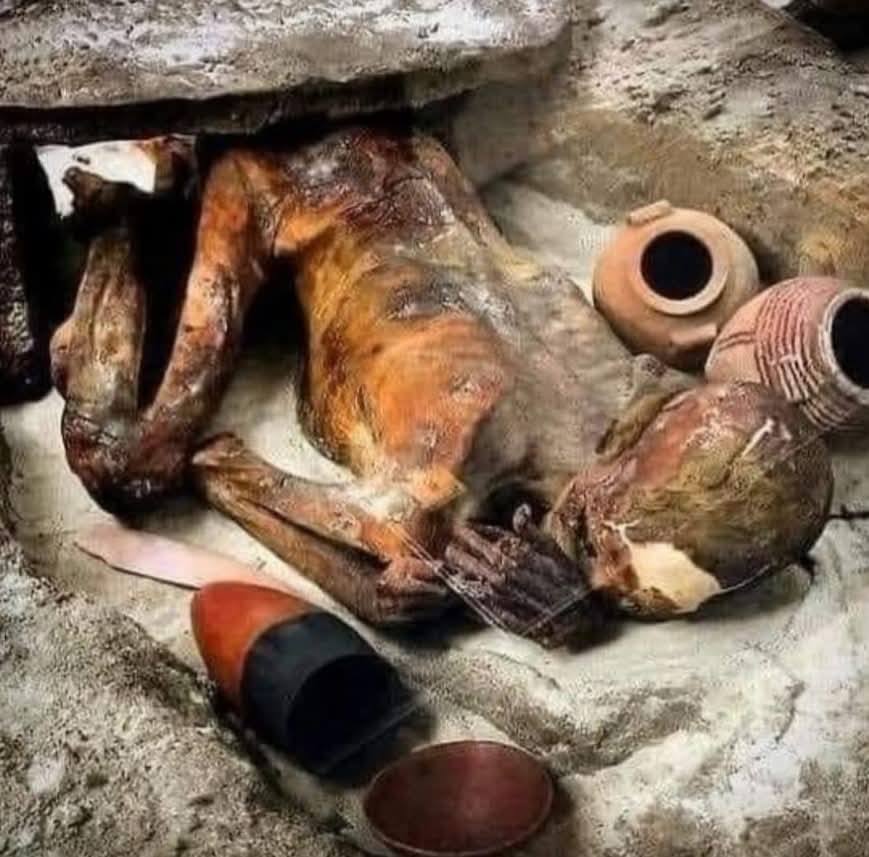 Archaeo - Histories tweet media