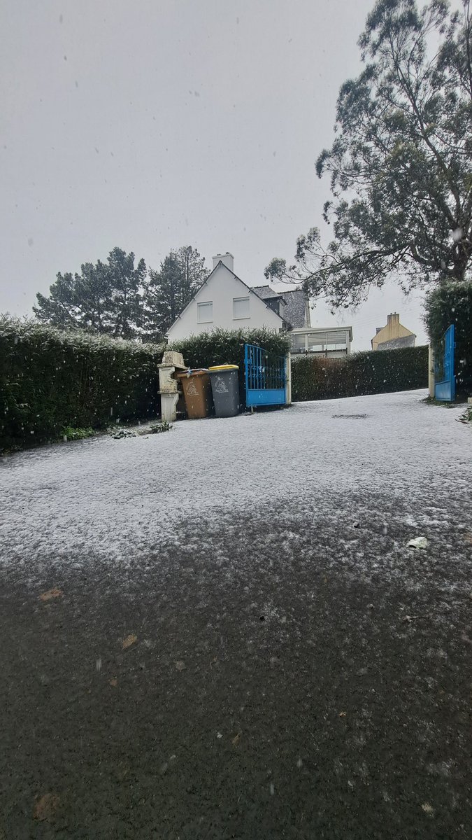 amandine_br's tweet photo. Ici à Plouaret, à 13h30 environ 🌨 (@Temps_Breton - @MeteoBretagne - @meteofrance ) #Neige #Bretagne #CôtesDArmor #Verglas https://t.co/lI6HXPj62f
