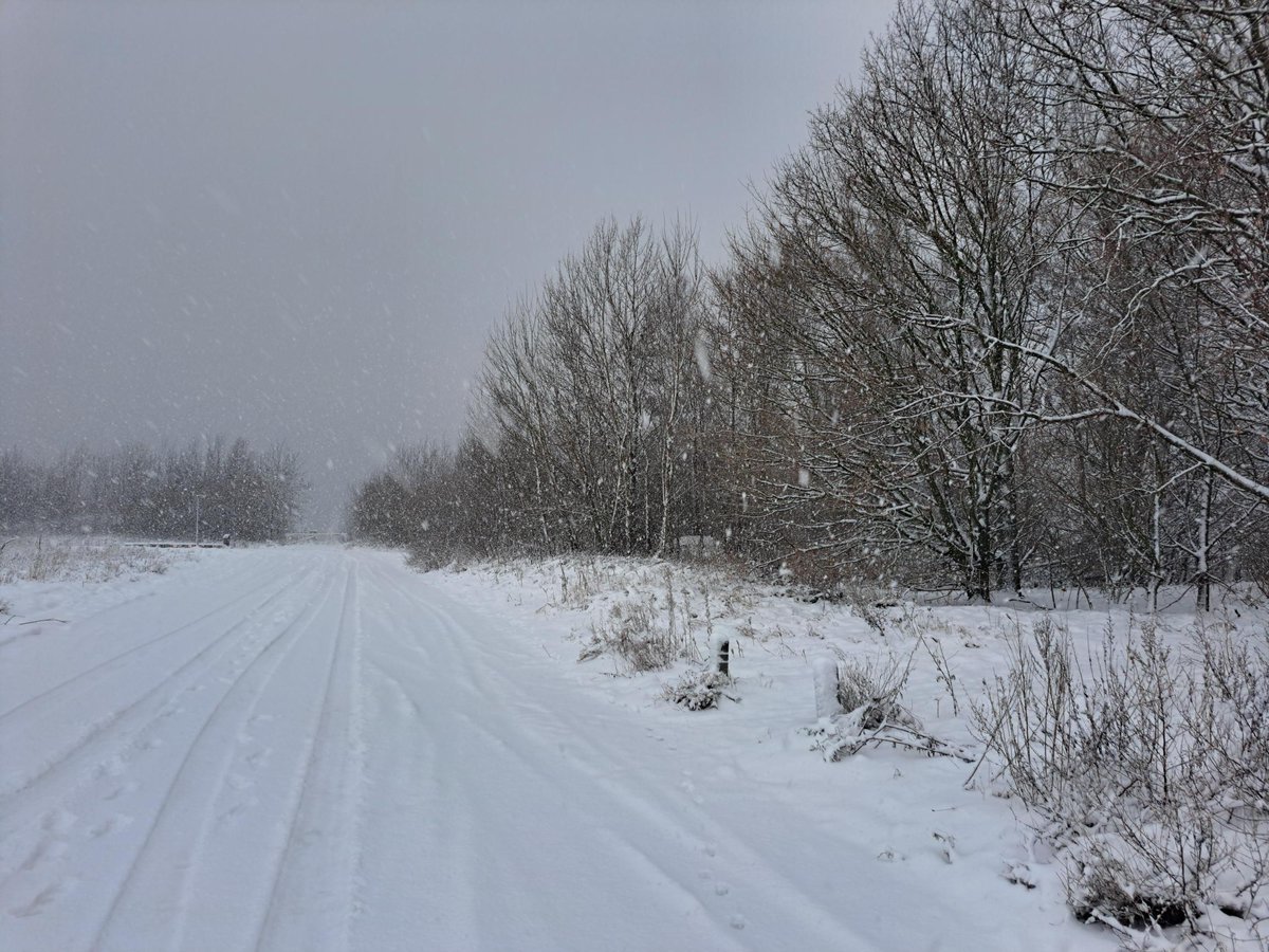 It is winter in Harderwijk! ☃️❄️⛄️
