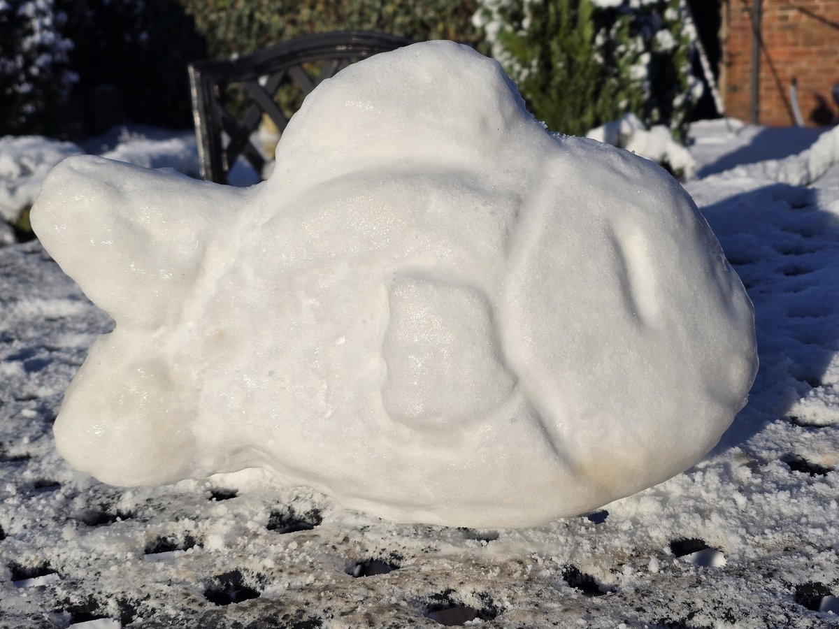 Does my snow fishy count as #sabart? I love my snow fishy.