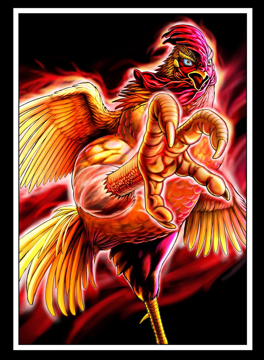 ニワトリ・ファイター　ROOSTER FIGHTER　英語　桜谷シュウ ニワトリ・ファイター【公式】 (@niwatorifighte1) / Highlights / X