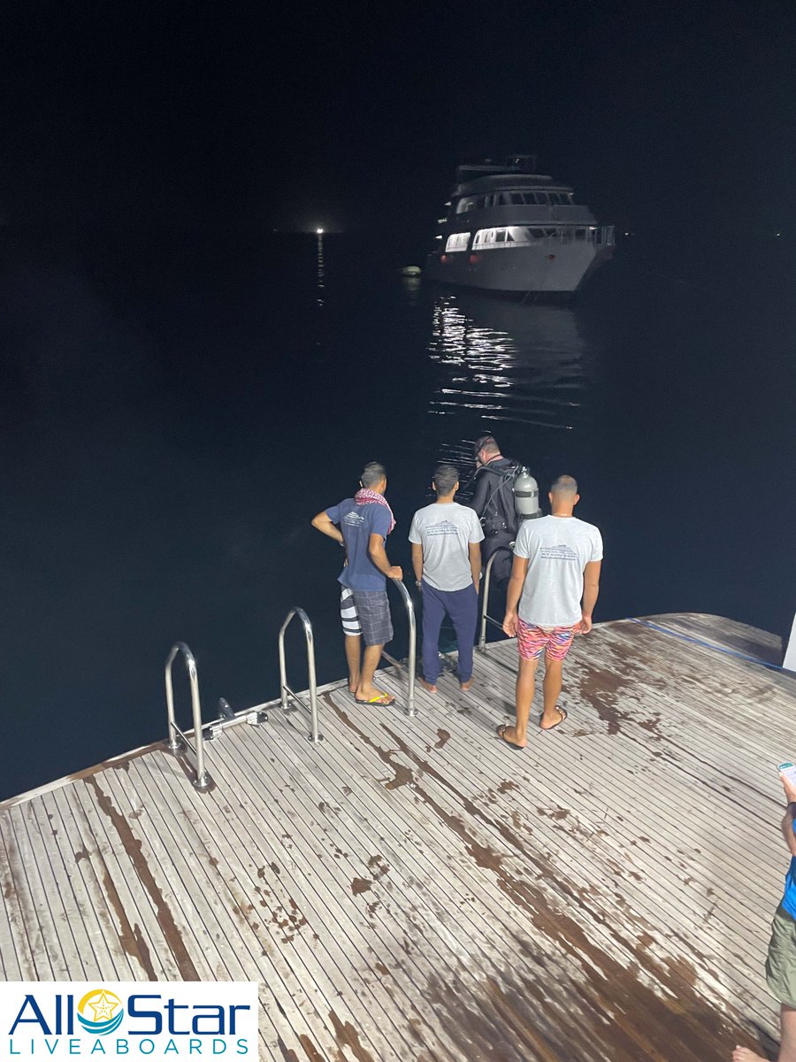 DiveASL's tweet image. Who's ready for a Red Sea night dive? 🔦

~All Star Scuba Scene, Red Sea

#allstarliveaboards #redsea #egypt #allstarscubascene #nightdive #scaredofthedark #thisisegypt #diveholiday #scuba #liveaboard #buceo #redseadiving