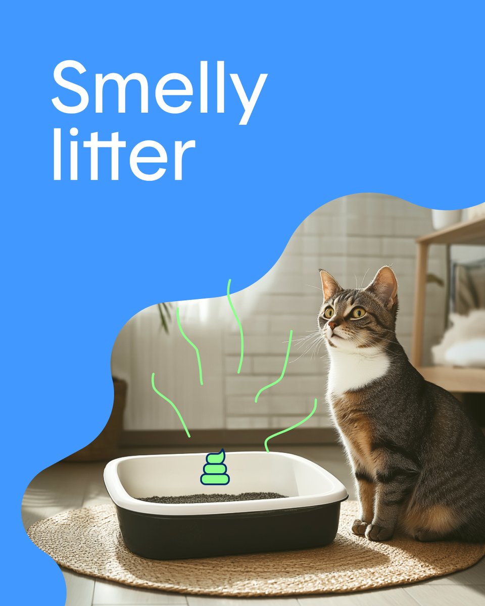 HelloBoxiecat's tweet image. Hello 2026 👋